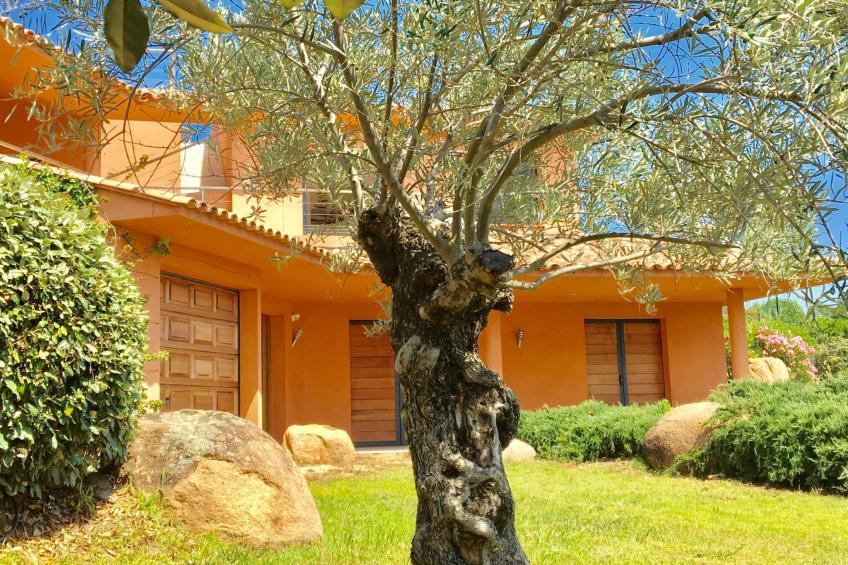 Villa Santa Giulia in Porto-Vecchio - foto 37