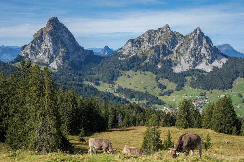 4 Seasons Apartment - foto 44