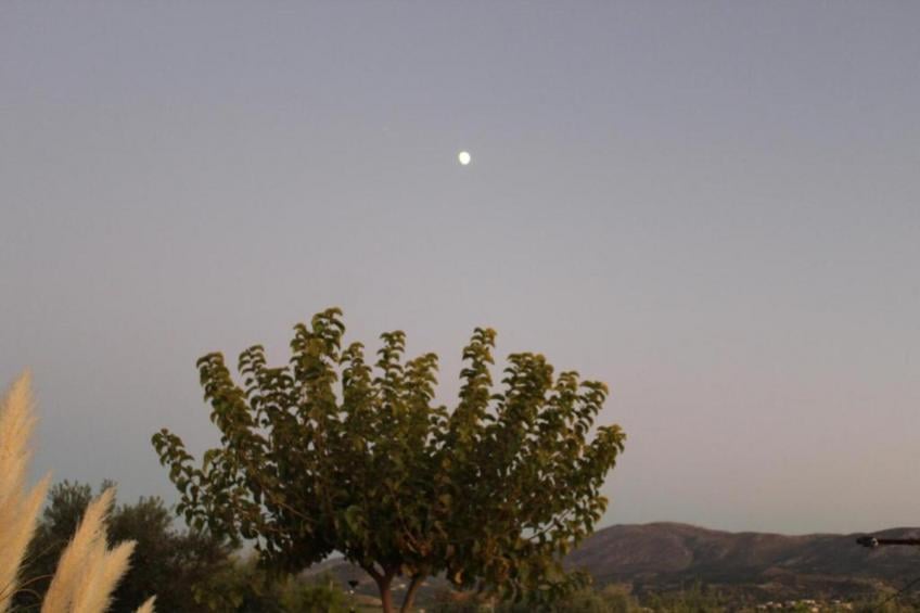 Villa Stella - foto 31