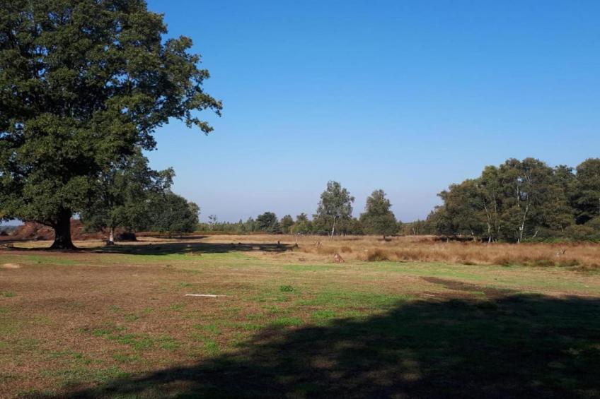 Chalet Egel - foto 17