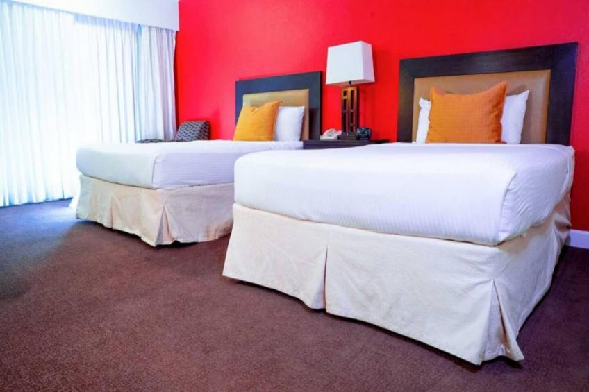2 Queen Beds  Non-Smoking Micfridge - foto 7