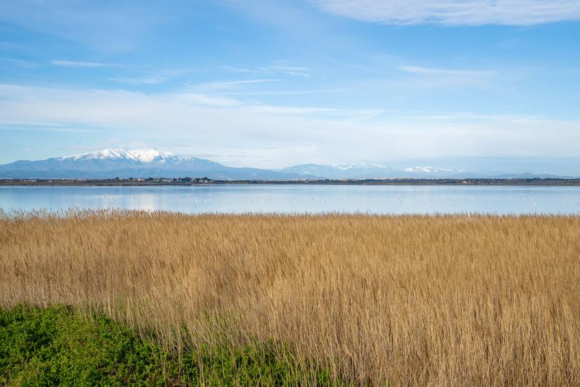 Les Marines de Port Canet - foto 17