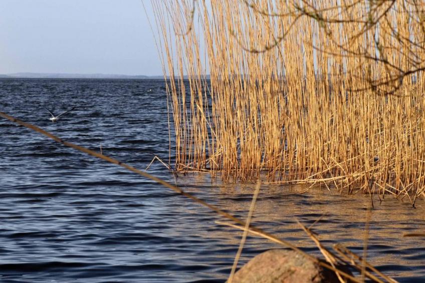 Am Apothekerberg - foto 33