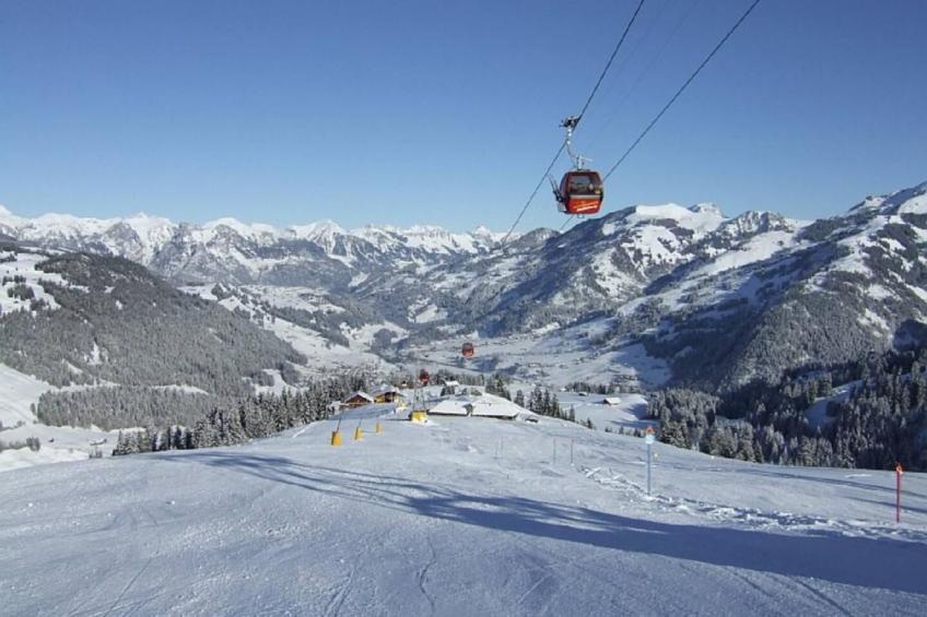 Chalet Finkenwiese - für 8 Erwachsene und 5 Kinder - foto 32