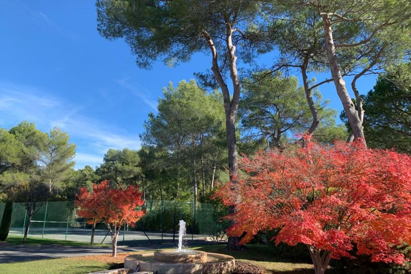 Wohnung in Mougins mit Gepflegtem Garten - foto 13