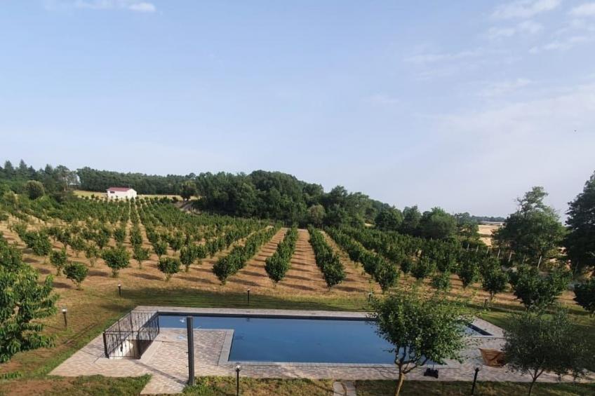 DOMUS NIRALE - foto 23