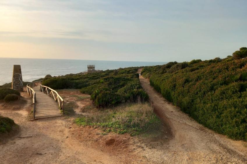 5024 -+34672427629 - foto 29