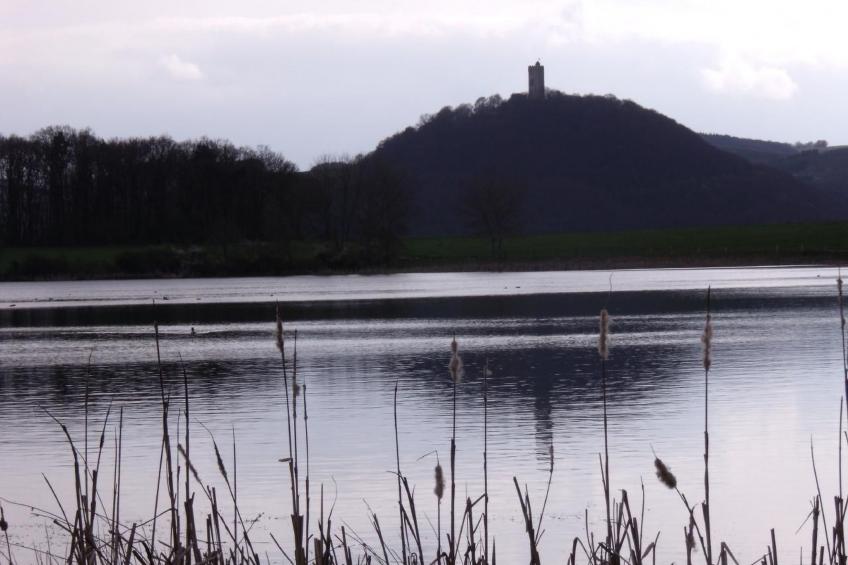 Am Waldrand - foto 40