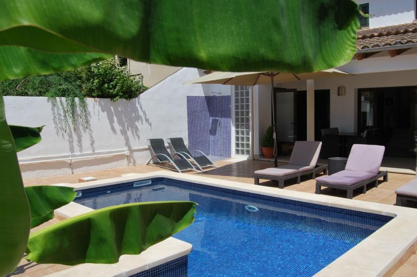 Haustierfreundlich, Reiterfreundlich, a 10 minutos Palma - foto 16