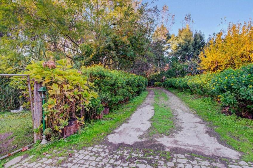 Maison du Moulin in Bauernhof - foto 36