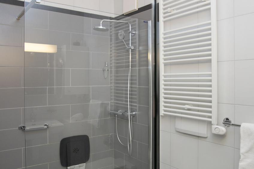 Alpes et Lac - foto 16