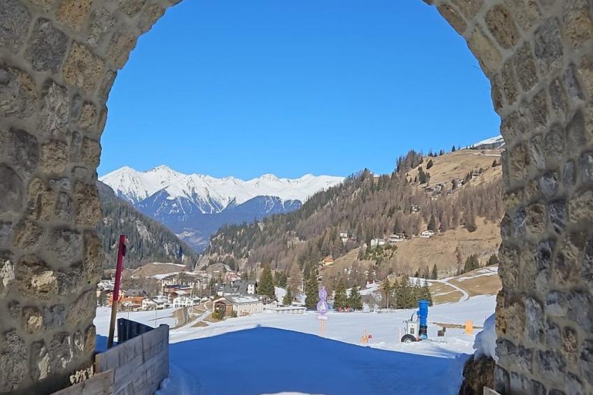 Albula B Chasa Nana, (Bergün/Bravuogn), 232 - foto 12