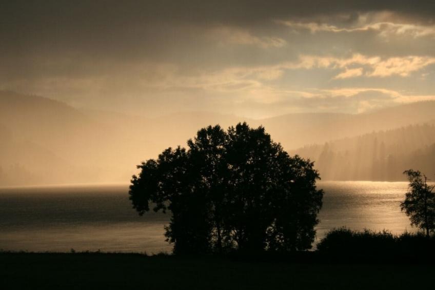 185256 - foto 6