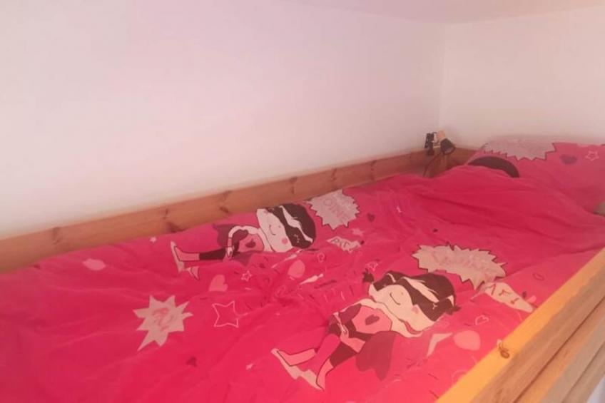 Spacieux Appartement Au Pied Des Pistes - foto 13