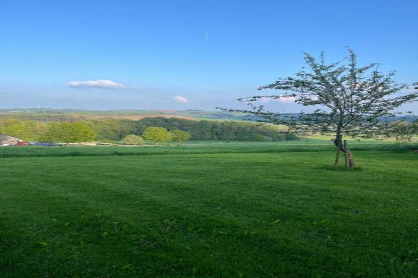 Feriendorf Reinskopf - foto 23