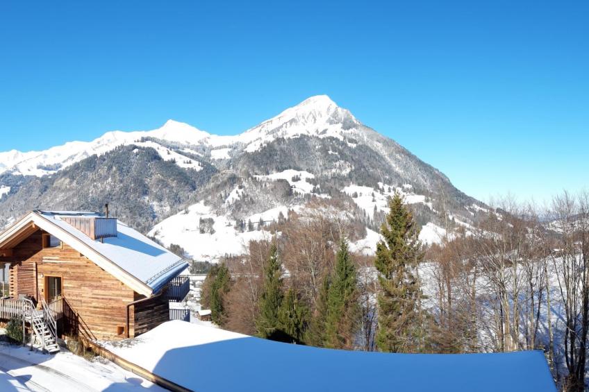 Chalet Wenger Appartement/Fewo, Dusche und Bad, WC, Balkon - foto 15