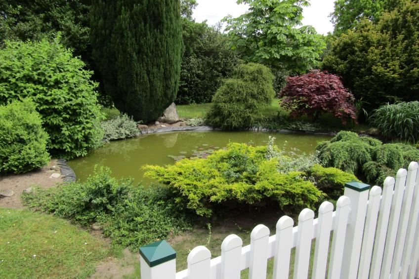 Appartement in Spekendorf mit Terrasse - foto 3