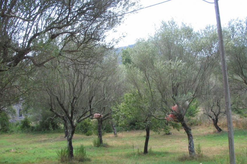 Ferienvilla "Melles" mit privatem Pool - foto 5