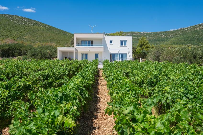 VILLA VISTA VINEA - foto 9