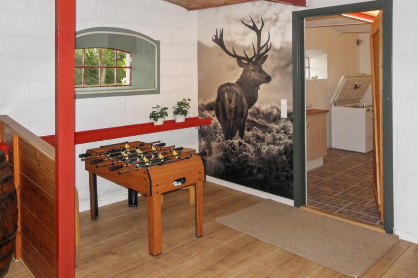 "Beatha" - 25km to the inlet in Western Jutland - foto 21