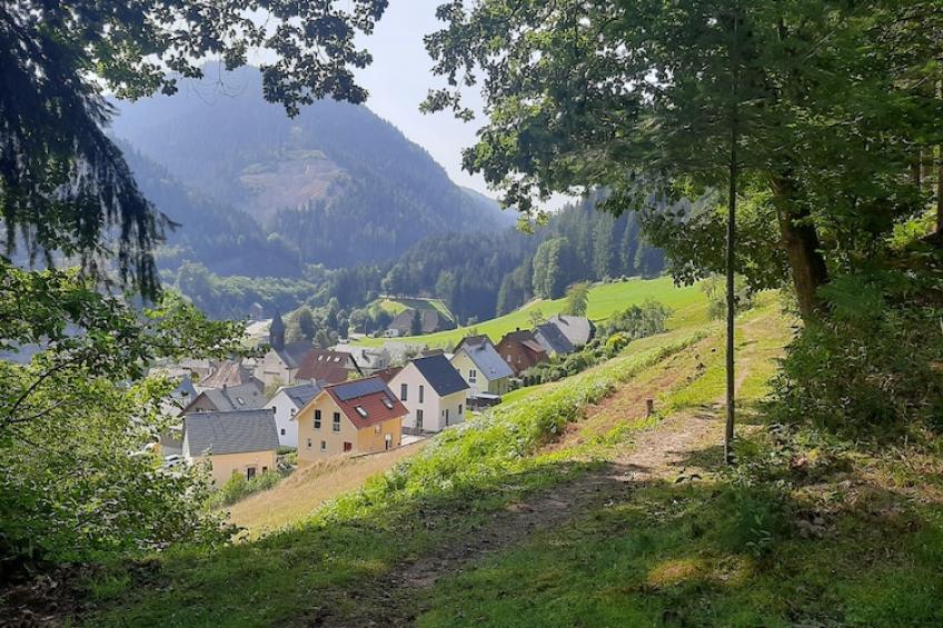 Vakantiewoning, Hornberg - foto 13