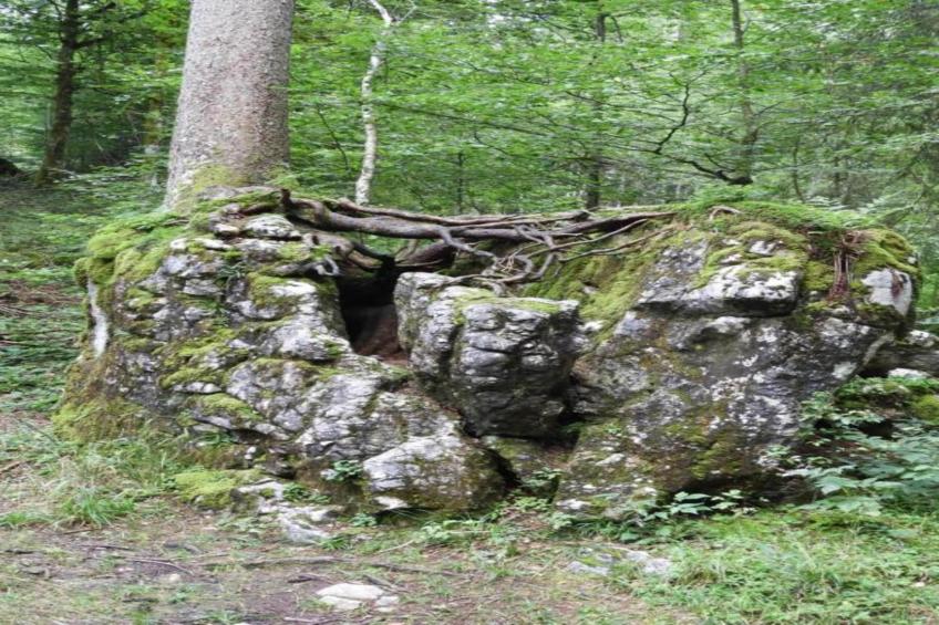 Schönblick 1 - foto 38