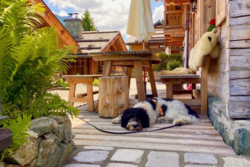 Chalet Promi-Alm in Flachau - foto 28