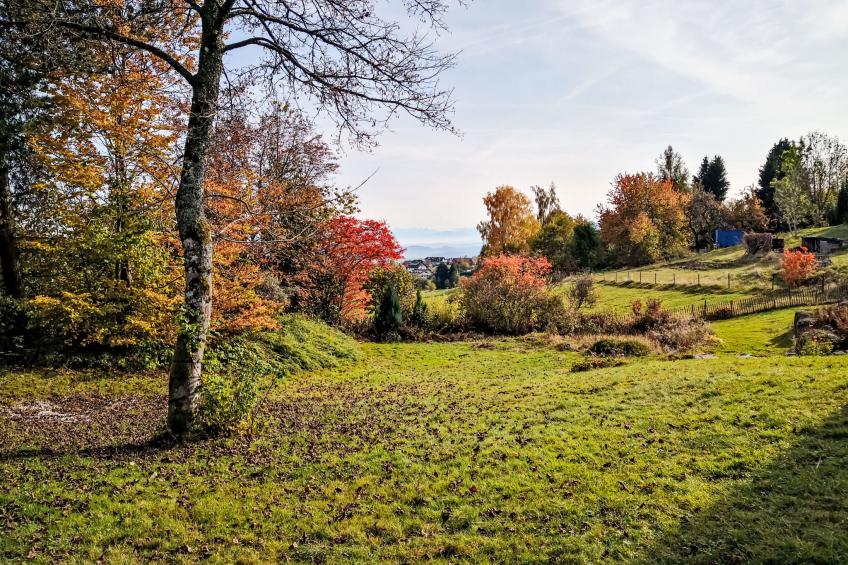 Schwarzwaldhof mit Pool & Sauna - foto 16