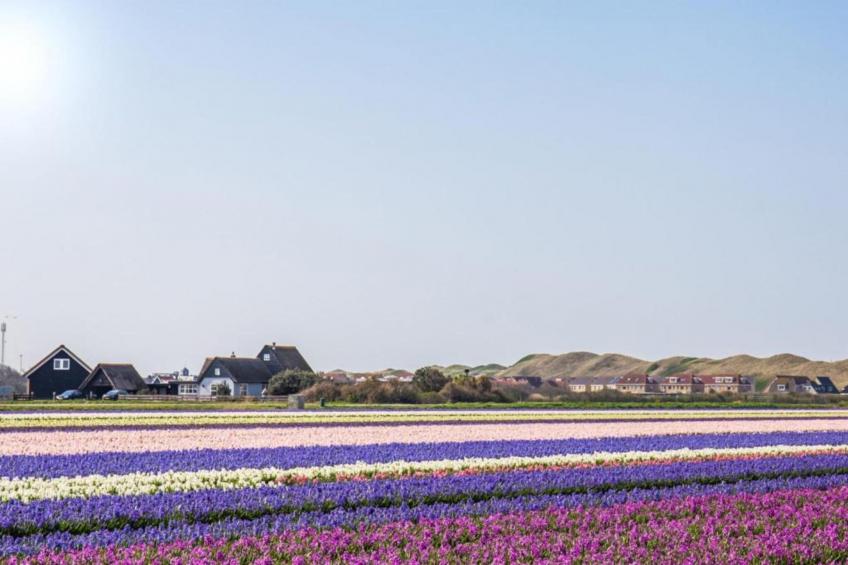 Strandhuys Mossel - foto 18