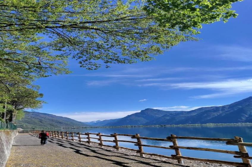 Alex Home 1 - foto 40