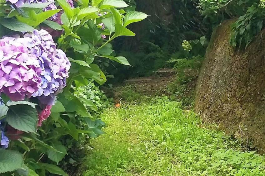 Quinta D'Avó Amélia, wunderschönes Landhaus zwischen den Bergen und dem Meer - foto 31