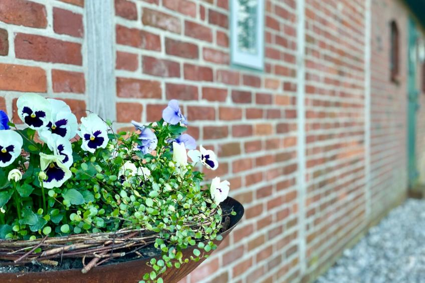 Reetdachhaus für erholsamen Familienurlaub - foto 3