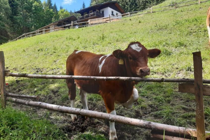 Teichhaus Simperle - foto 29