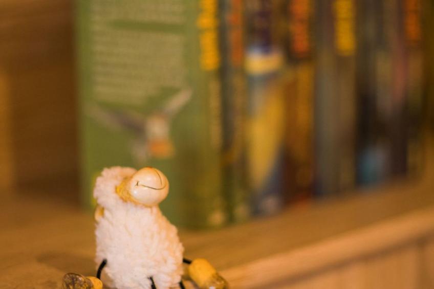 Fewo Dirks 2 - foto 15