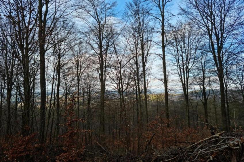 Im Schönen Kylltal - foto 32