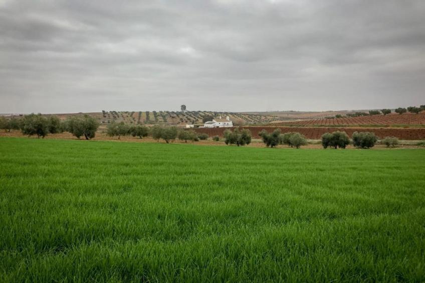 Villapark Ehzerburg 1 - foto 21