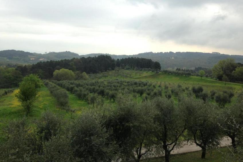 Cabella - foto 29
