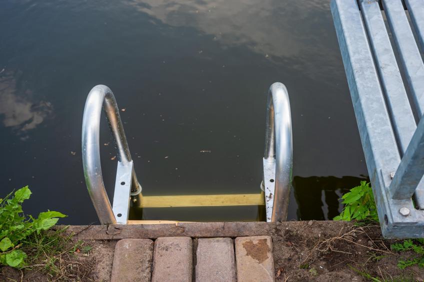 De Waterlelie - foto 41