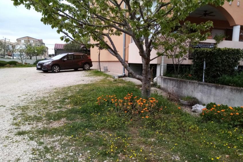 Apartments Vanja Škara Biograd - Studio Apartment with Terrace - foto 21