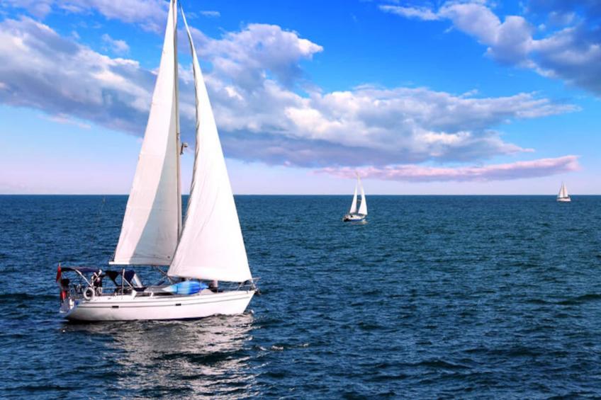 Maison à Saint-Gilles-Croix-de-Vie - foto 27