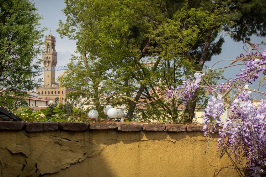 'Torrigiani - foto 40