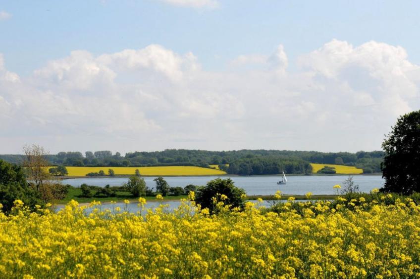 'Heile Welt' bei Maasholm - foto 23