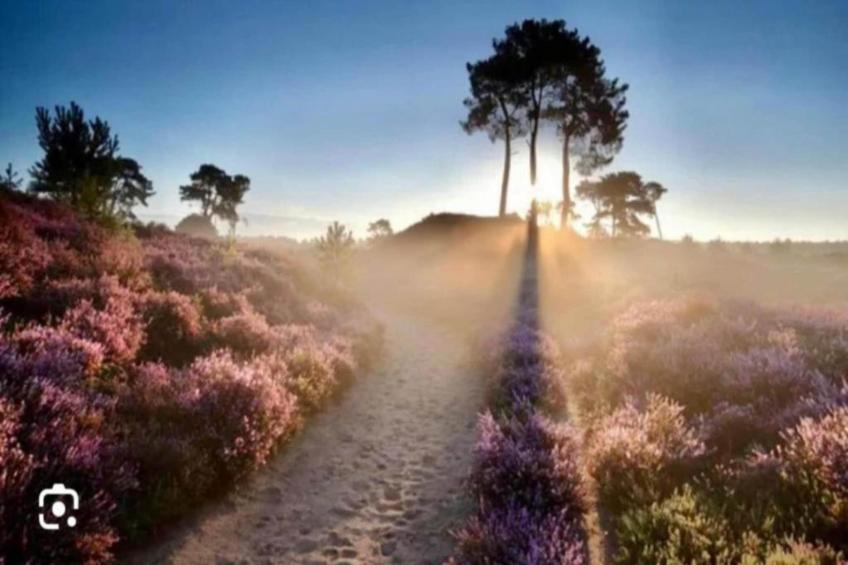 Vakantiepark de Noordster 3 - foto 19