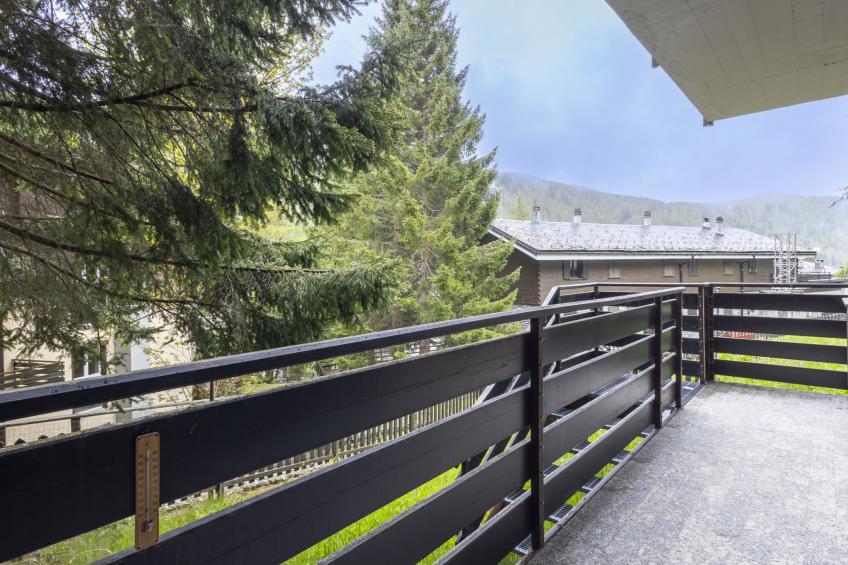 Pino Bianco - foto 5