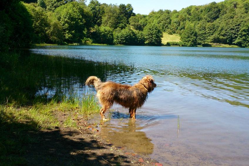 mit Parkplatz und Terrasse - foto 13