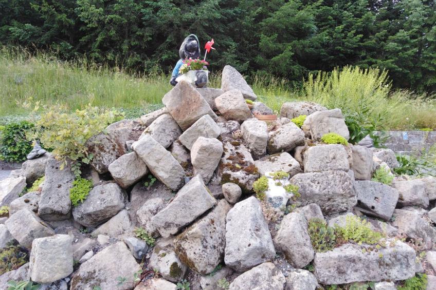 Wohnung in Bad Gottleuba - foto 31