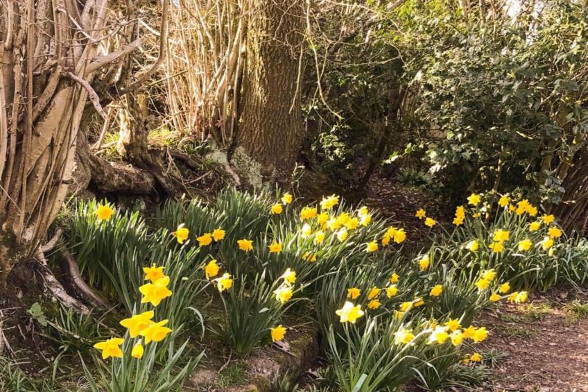 The Pig Barn - foto 30