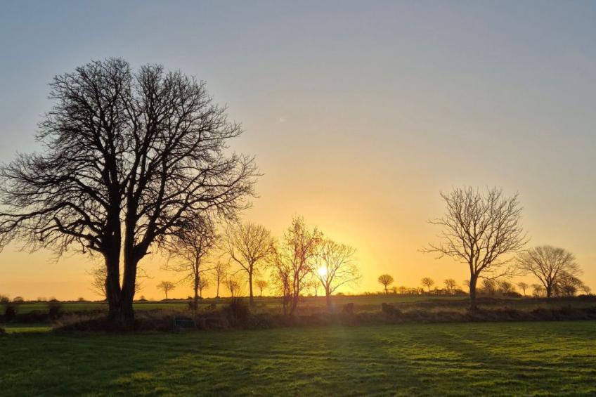Wunderschöne Ferienwohnung mit Terrasse und Garten - foto 17