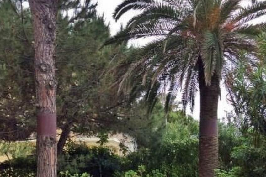 Wohnung in Tortoreto Lido mit Privater Terrasse - foto 7