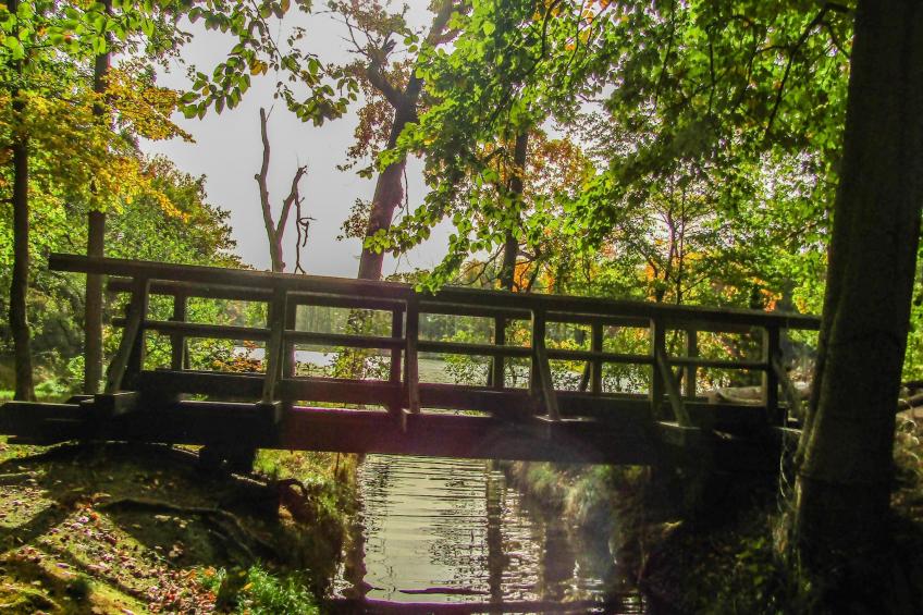 Hafendorf Junior Suite - foto 33